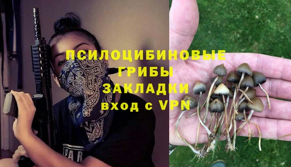 PSILOCYBIN Зерноград